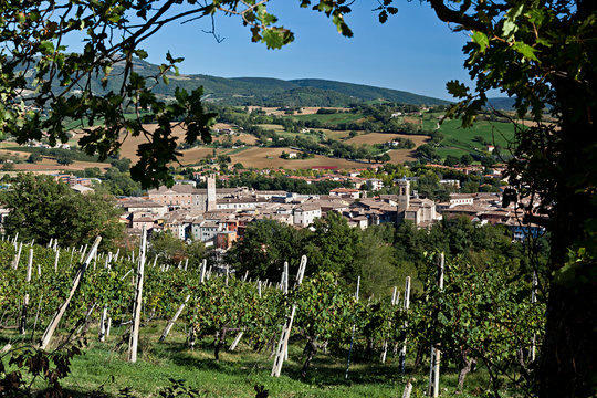 Matelica: Citt&agrave; del Verdicchio