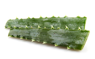 aloe vera isolated on white