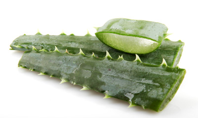 aloe vera isolated on white