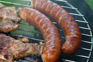 barbecue with delicious grilled meat on grill