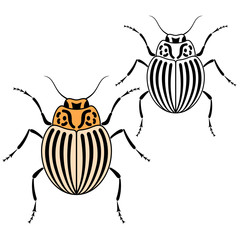 Colorado bettle vector