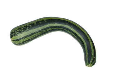fresh zucchini