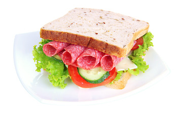 Tasty sandwich with salami sausage and vegetables