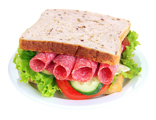 Tasty sandwich with salami sausage and vegetables