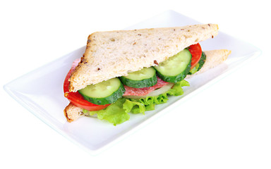 Tasty sandwich with salami sausage and vegetables