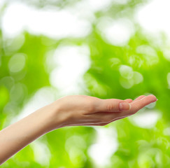 Female hand on young green leaves background