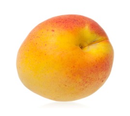Ripe apricot