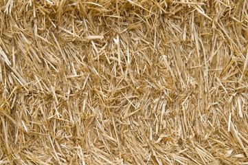 close up straw texture