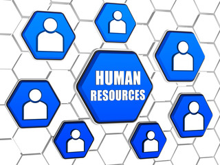 human resources and person signs in blue hexagons