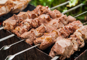 Barbecue in the forest.shashlik at nature