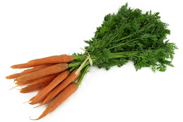 botte de carottes et fanes 5