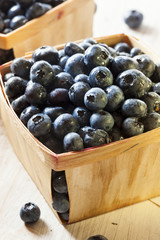 Group of Organic Blueberries