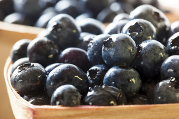 Group of Organic Blueberries