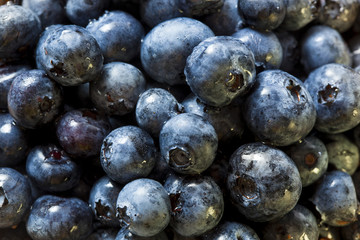 Group of Organic Blueberries