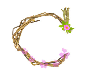 Photograph of Natural Twig and Stick Letter C