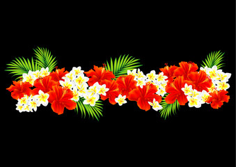 ハイビスカスとプルメリア © kohufrdhjl