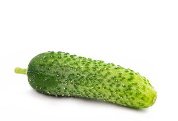 cucumbers for pickling isolated