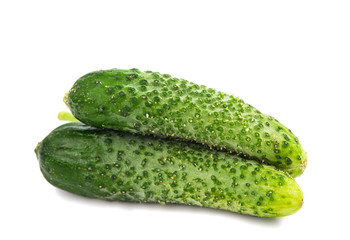 cucumbers for pickling isolated