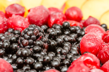 Fresh Fruit Cake Close Up