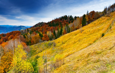 mountain landscape