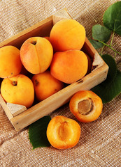 Apricots in drawer on bagging on wooden table
