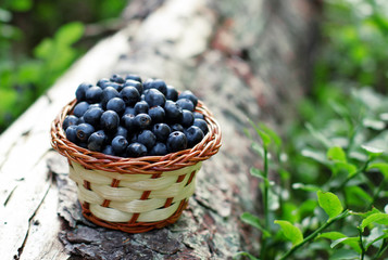 blueberries