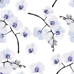 Cercles muraux Orchidee modèle sans couture d& 39 orchidées à fleurs
