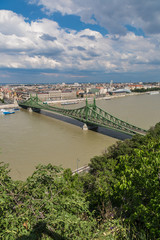 Fototapeta na wymiar Liberty Bridge in Budapest.