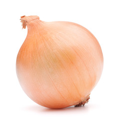 gold onion bulb