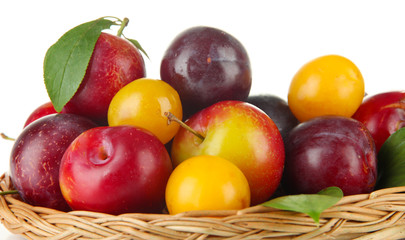 Ripe plums in basket isolated on white