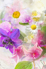 Beautiful summwer flowers background