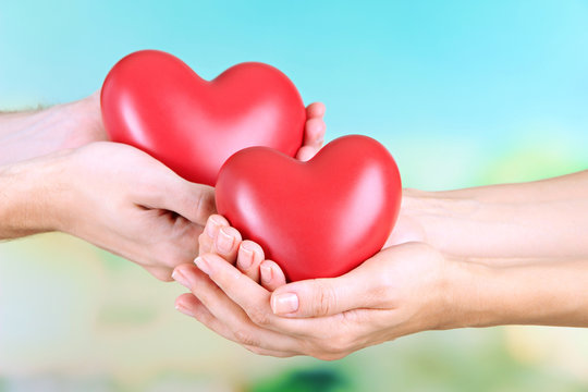 Hearts in hands on nature background