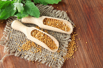 Mustard seeds with mustard leaves on wooden background