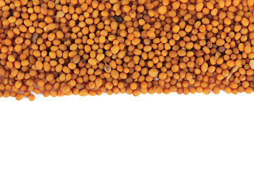 Mustard seeds isolated on white