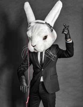 Rabbit Dj  in balck suit on dark background