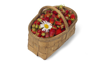 strawberry on the white background