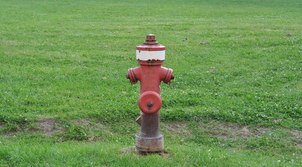 Fototapeta na wymiar Hydrant auf der Wiese