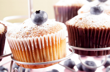 blueberry cupcake with powdered sugar