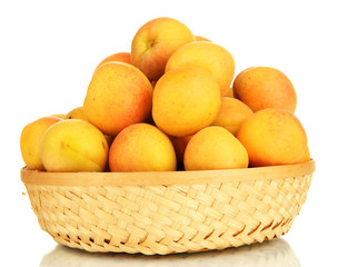 Fresh natural apricot in wicker basket isolated on white