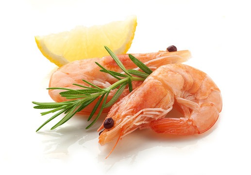 Shrimps