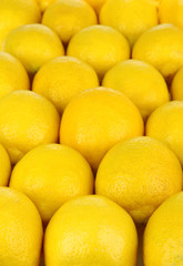 Ripe lemons close-up