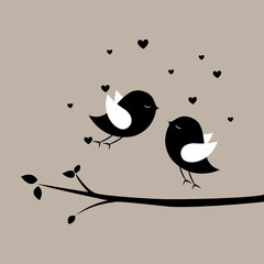 birds