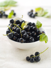 blackcurrant