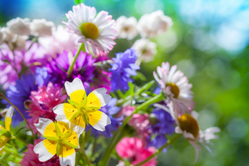 Colorful meadow flowers summer bouquet