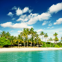tropical island beach with perfect blue sky