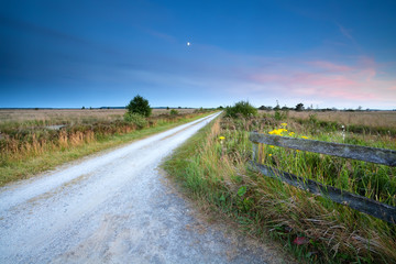 Fototapeta na wymiar countryside road in moonlight