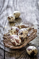 Quail eggs