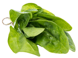 Spinach Leaves isolated on white