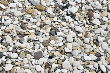 Smooth pebbles on beach