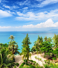 Fototapeta premium Beautiful tropical landscape. Samui Island, Thailand